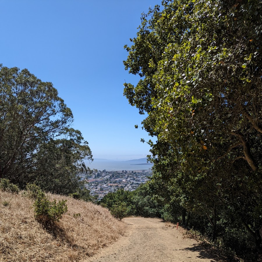 El Cerrito Foundation Memorial Grove