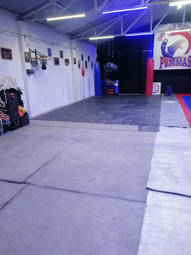 Gimnasio de artes marciales y deportes de contacto, circulo marcial puMMAs