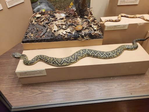 Planetarium «Fernbank Science Center», reviews and photos, 156 Heaton Park Dr, Atlanta, GA 30307, USA