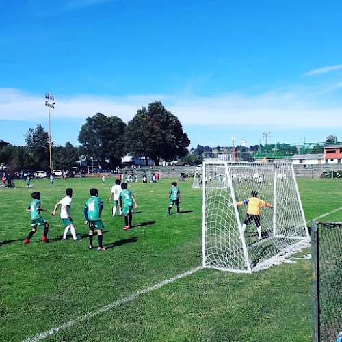 Cancha sotua - Villarrica