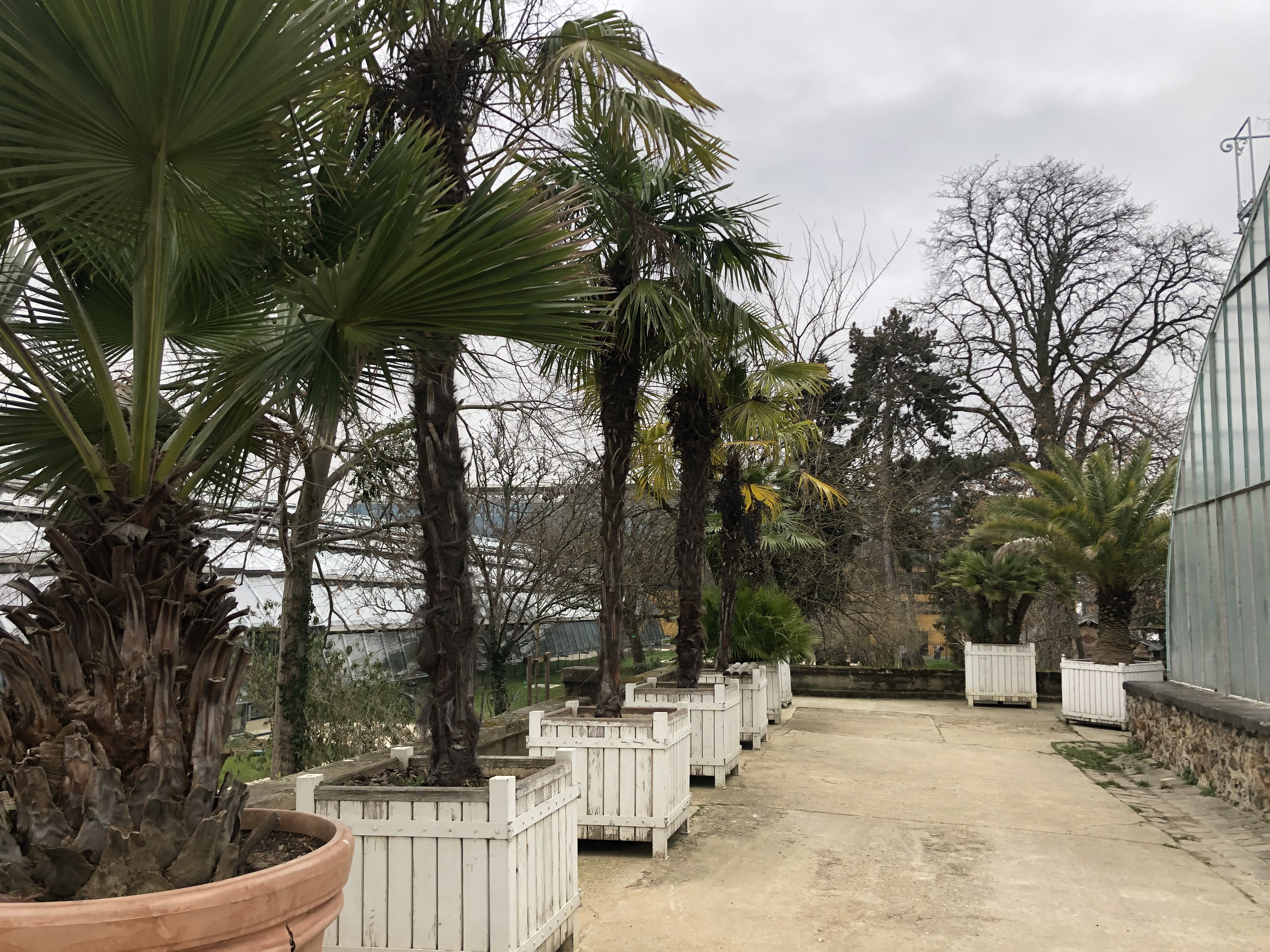 Photo n° 41 de l'avis de Halim.o fait le 22/02/2021 à 13:44