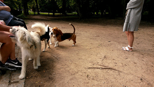 Hunde-Freilaufgehege am Grüneburg Park