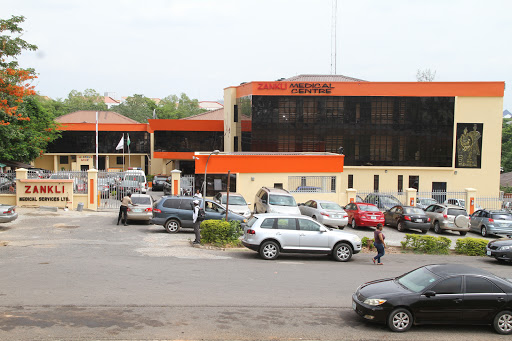 Zankli Medical Centre, No 1 Ibrahim Tahir Street, Lane, Abuja, Nigeria, Consultant, state Niger