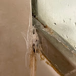 Photo n°6 de l'avis de Juska. fait le 01/10/2022 à 06:24 sur le  c-hotels Atlantic Milano à Milan