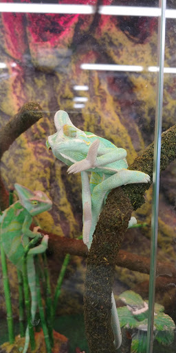 Pet Supply Store «Pet Supplies Plus», reviews and photos, 175 Memorial Ave, West Springfield, MA 01089, USA