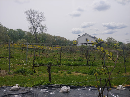 Vineyard «Ventimiglia Vineyard», reviews and photos, 101 Layton Rd, Wantage, NJ 07461, USA