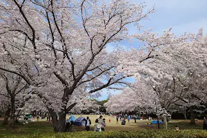 Tatsuzawa Park image