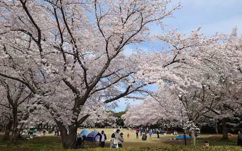 Tatsuzawa Park image