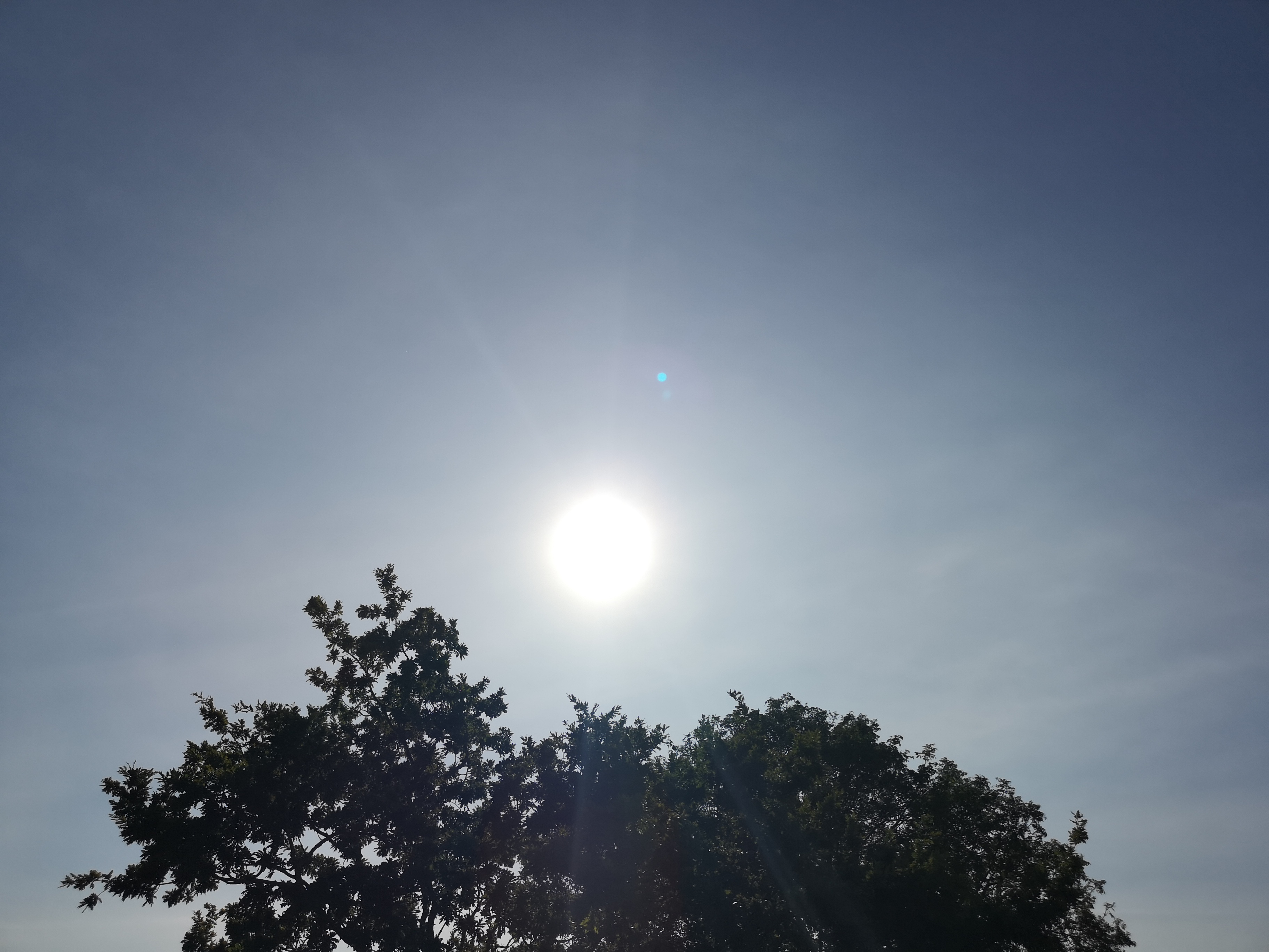Photo n° 11 de l'avis de Jean.a fait le 22/07/2019 à 13:23