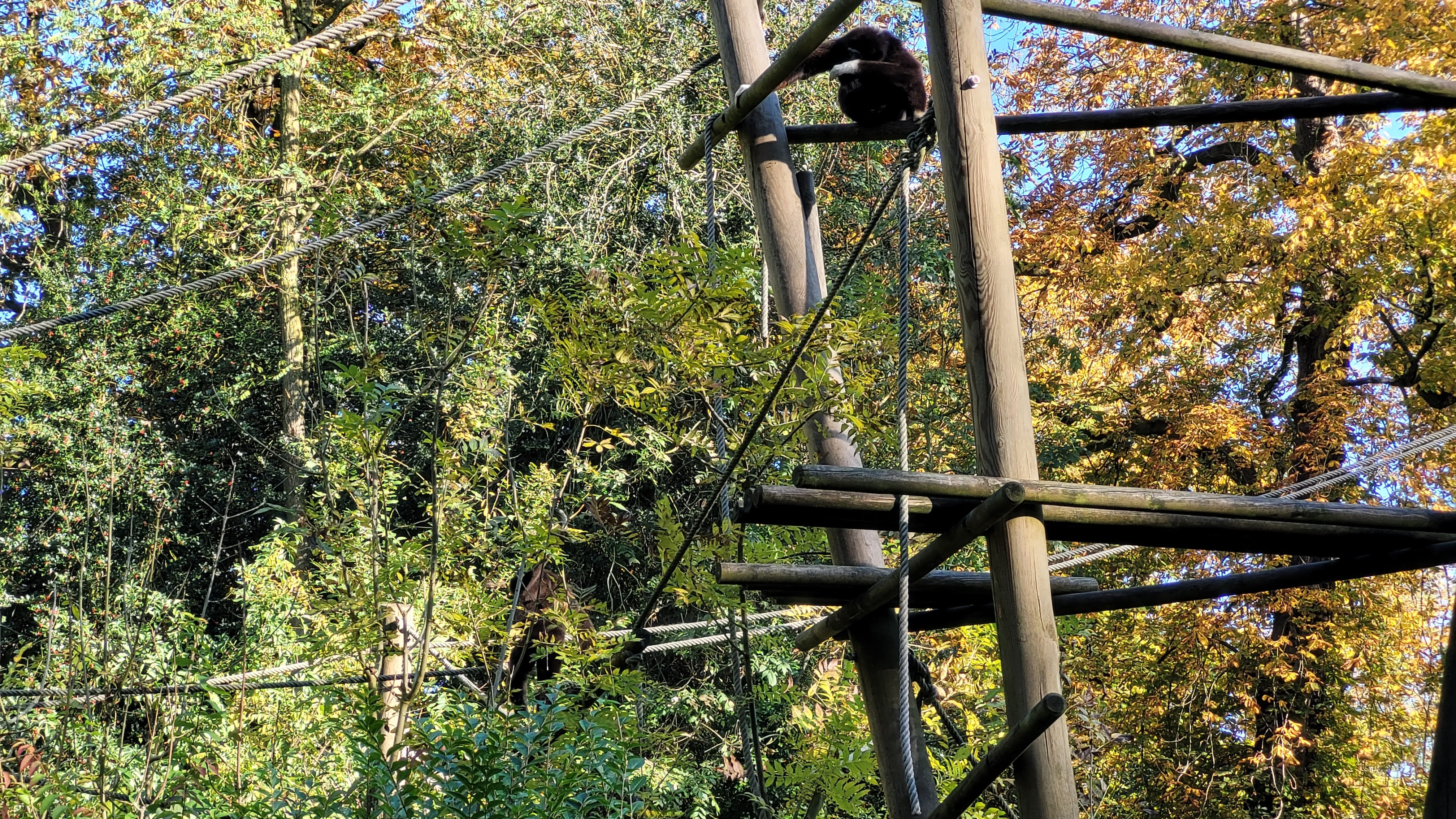 Photo n° 2 de l'avis de Antoine. fait le 10/11/2021 à 13:07
