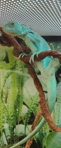 Pet Supply Store «Petco Animal Supplies», reviews and photos, 1391 NJ-35, Middletown, NJ 07748, USA