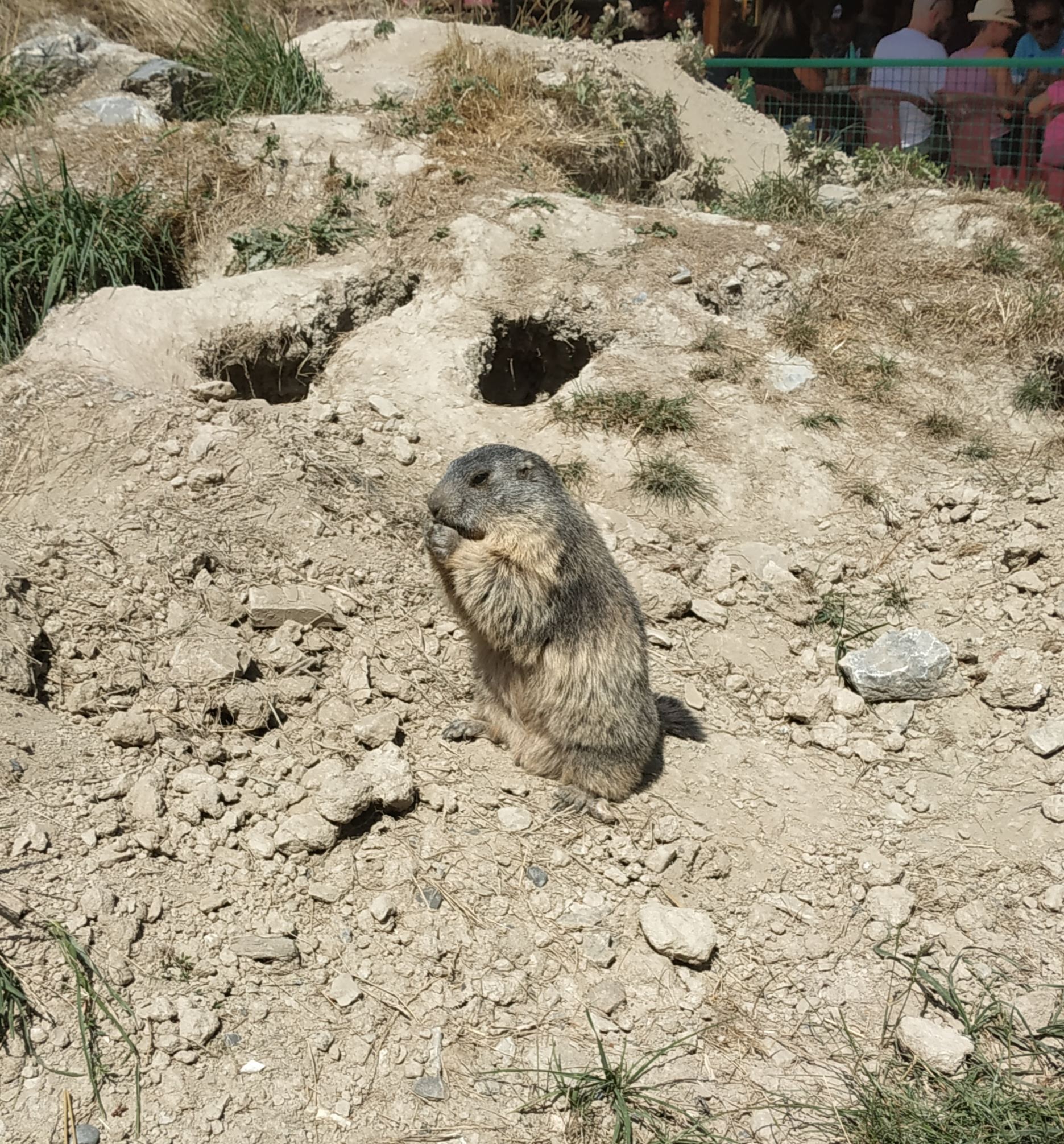 Photo n° 1 de l'avis de Roszak.a fait le 16/08/2021 à 07:13