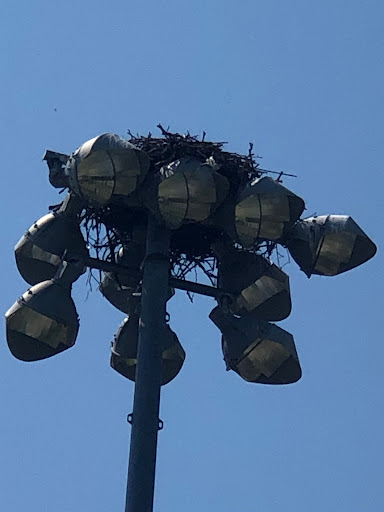 Park «John J Burns Park», reviews and photos, 4990 Merrick Rd, Massapequa Park, NY 11762, USA