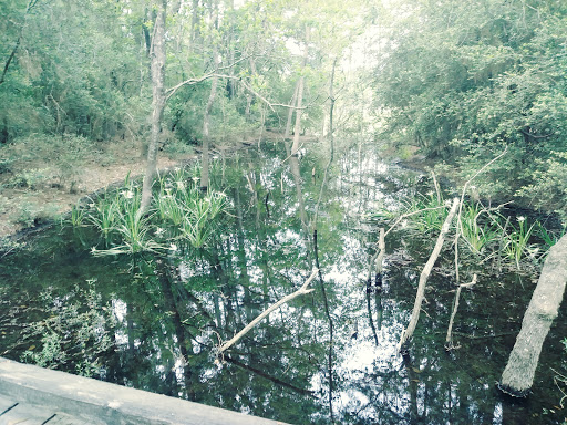 Golf Club «Longwood Golf Club», reviews and photos, 13300 Longwood Trace Dr, Cypress, TX 77429, USA