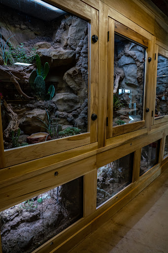 Zoo «Animal World & Snake Farm Zoo», reviews and photos, 5640 Interstate 35 Frontage Rd, New Braunfels, TX 78132, USA