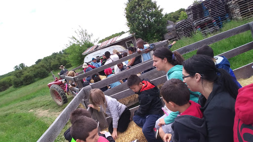 Produce Market «Solly Brothers», reviews and photos, 707 Almshouse Rd, Warminster, PA 18974, USA