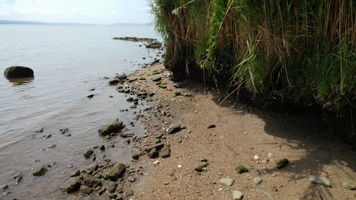 Park «Croton Point Park», reviews and photos, 1 Croton Point Ave, Croton-On-Hudson, NY 10520, USA