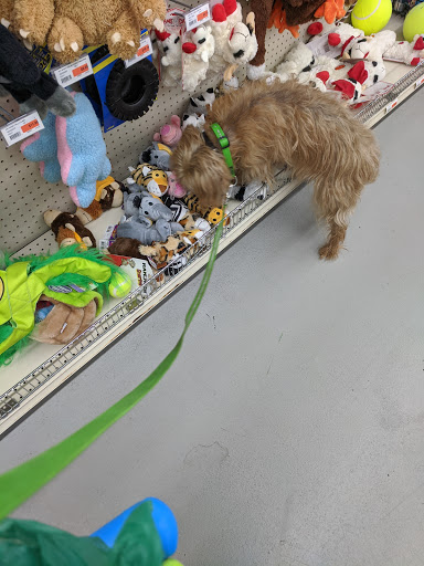 Pet Supply Store «Mini Pet Mart», reviews and photos, 2630 US-101, Florence, OR 97439, USA