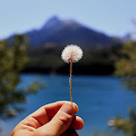 Photo n° 1 de l'avis de teddy.e fait le 14/08/2019 à 13:31 pour Base Nautique / Snack / Bar WSA du Lac du Sautet à Corps