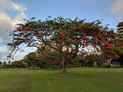 Golf Course «Granada Golf Course», reviews and photos, 2001 Granada Blvd, Coral Gables, FL 33134, USA