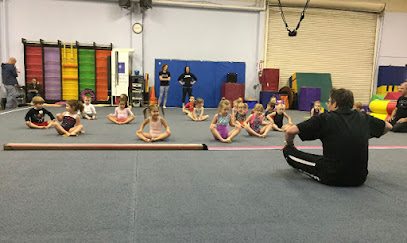 VANCOUVER ELITE GYMNASTICS ACADEMY