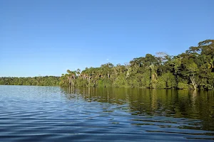 Reserva Nacional Tambopata image