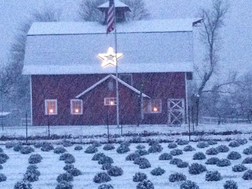 Gift Shop «Hidden Spring Lavender Farm and Gift Shoppe», reviews and photos, 890 Belle Mead-Blawenburg Rd, Skillman, NJ 08558, USA