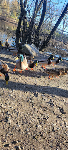 Park «Fort Dent Park», reviews and photos, 6800 Fort Dent Way, Tukwila, WA 98188, USA