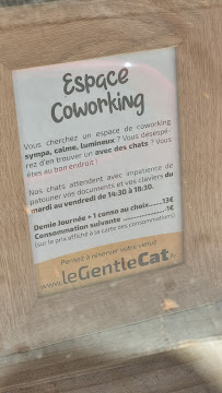 Restaurant Le GentleCat bar a chat restaurant salon de thé interdit moins de 12 ans à Lyon (la carte)