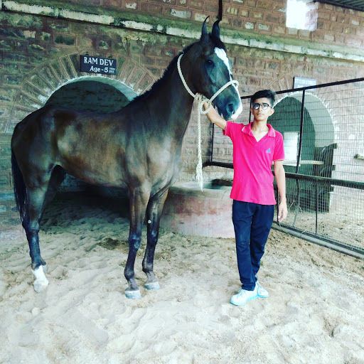 Horse riding courses Jaipur