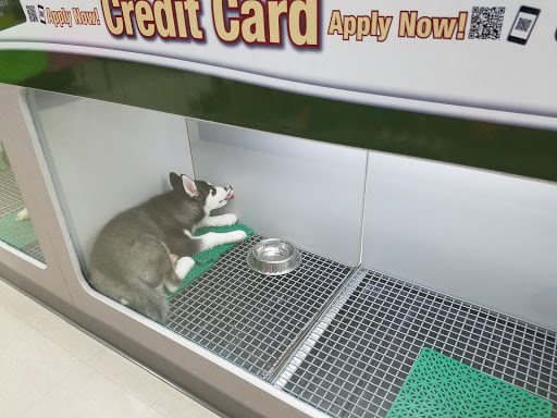 Pet Store «Petland», reviews and photos, 920 Hebron Rd, Heath, OH 43056, USA