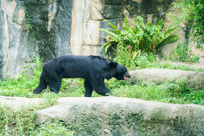 Taipei City Zoo Temperate Animal Area
