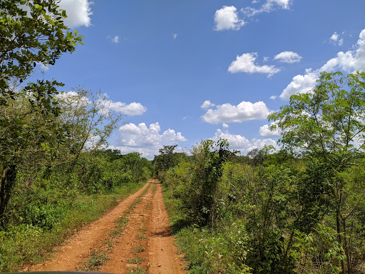 Reserva Ecológica Cuxtal