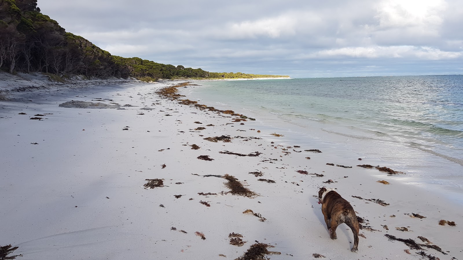 Photo de Mason Beach avec rivage droit, long