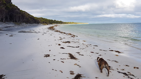Mason Beach