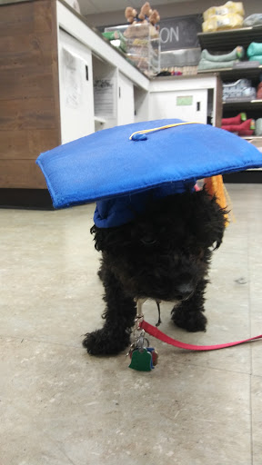 Pet Supply Store «Unleashed by Petco», reviews and photos, 745 South St, Boston, MA 02131, USA