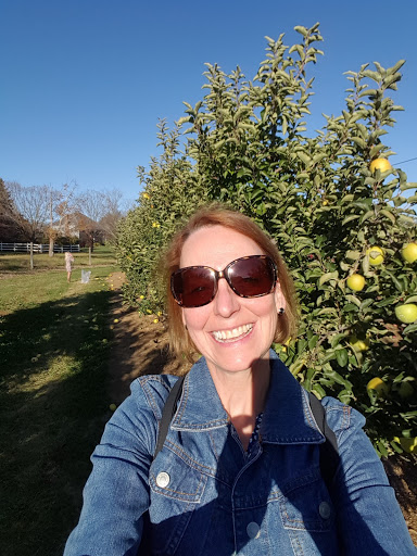 Produce Market «Parks Farms», reviews and photos, 525 NJ-24, Chester, NJ 07930, USA