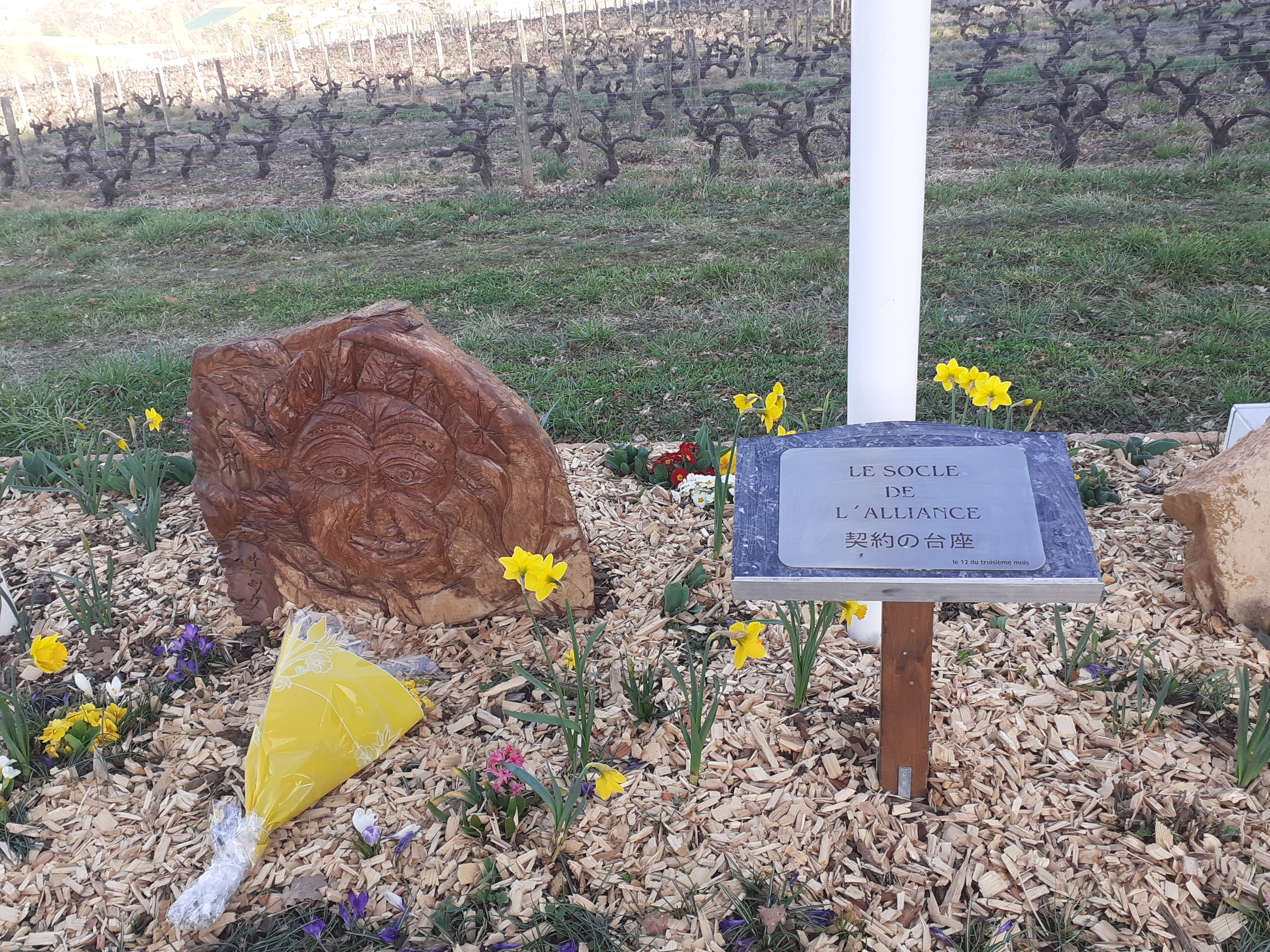 Photo n° 9 de l'avis de Hugo.o fait le 16/03/2023 à 16:58