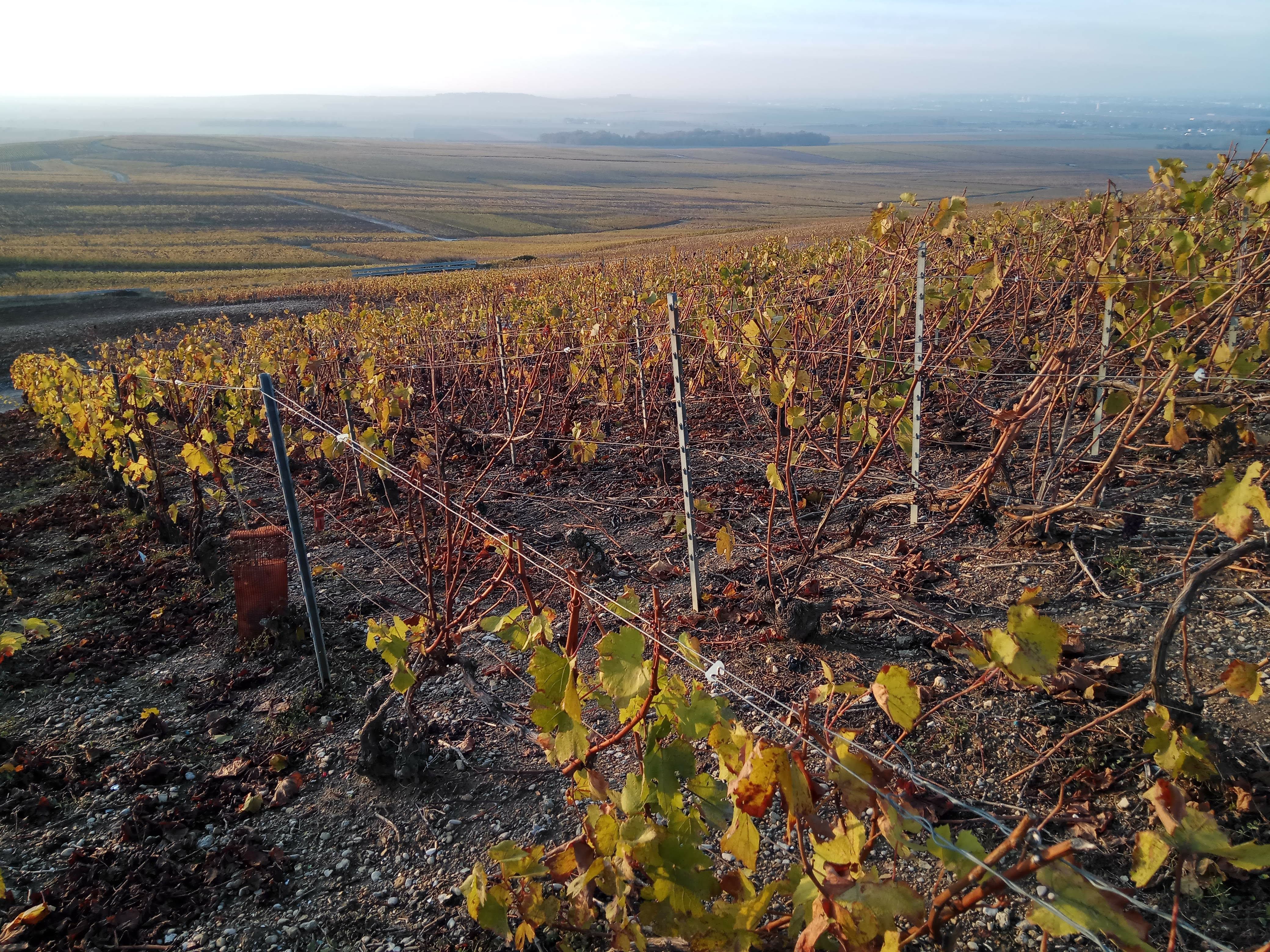 Photo n° 3 de l'avis de Jerome.i fait le 21/01/2019 à 11:52