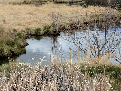 Golf Course «Evergreen Golf Course», reviews and photos, 29614 Upper Bear Creek Rd, Evergreen, CO 80439, USA