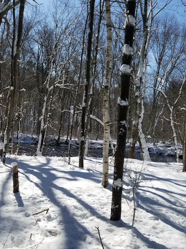 Dog Day Care Center «Boston Dog Company», reviews and photos, 77 Powder Mill Rd, Acton, MA 01720, USA