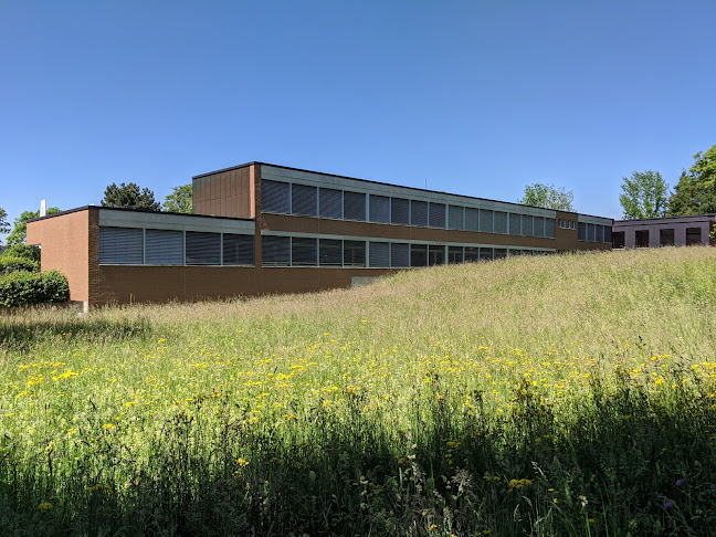 Rezensionen über Sekundarschule Egelmoos in Amriswil - Schule