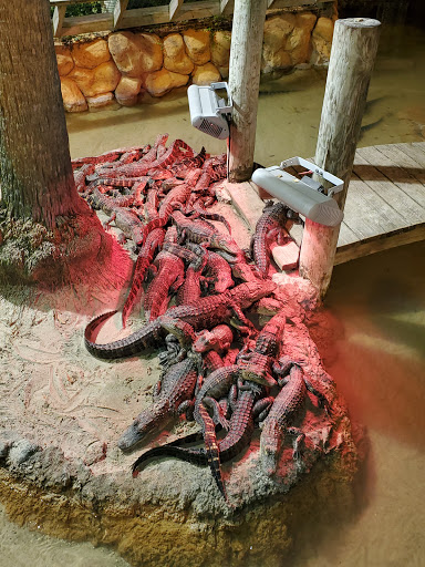 Miniature Golf Course «Congo River Golf», reviews and photos, 20060 US-19, Clearwater, FL 33764, USA