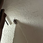 Photo n°1 de l'avis de Jack.u fait le 07/03/2024 à 17:52 sur le  Fini Resort Badenweiler à Badenweiler