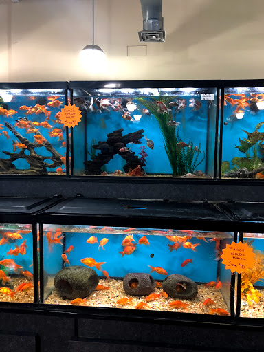 Pet Supply Store «Monster Pets», reviews and photos, 130 Black Horse Pike # 502, Audubon, NJ 08106, USA