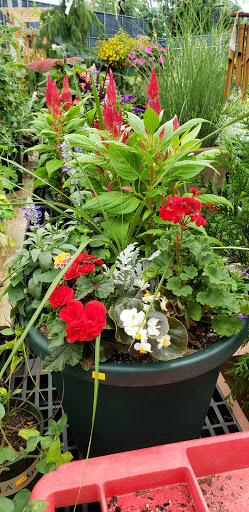 Florist «Metropolitan Plant & Flower Exchange Inc.», reviews and photos, 2125 Fletcher Ave, Fort Lee, NJ 07024, USA