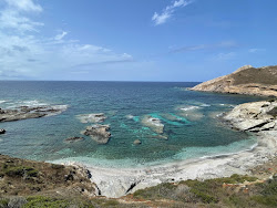 Zdjęcie Spiaggia Isola dei Porri z powierzchnią niebieska czysta woda