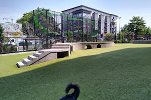 Swampoodle Dog Park & Playground