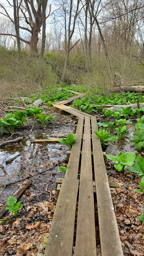 Park «Poricy Park Nature Center», reviews and photos, 345 Oak Hill Rd, Red Bank, NJ 07701, USA