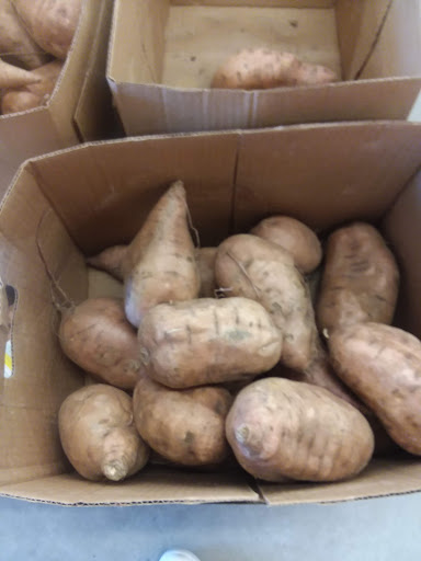 Grocery Store «Save-A-Lot», reviews and photos, 4 Vieux Carre Dr, East St Louis, IL 62203, USA